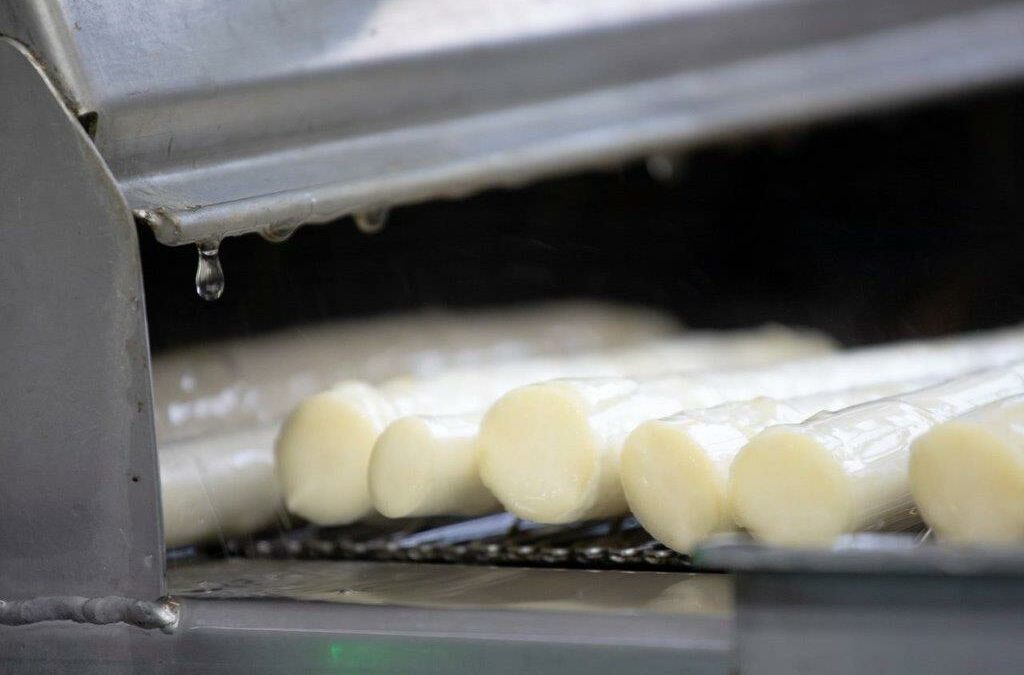 Asperge kwaliteiten A AA AAA